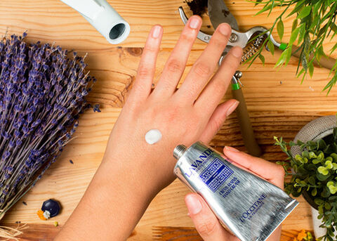 images/Modules/560x400/lavender22.jpg